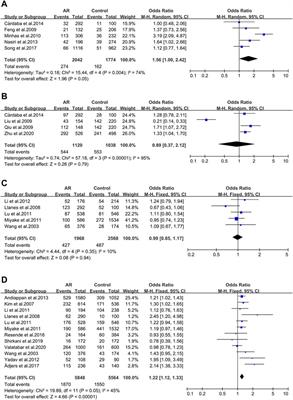 Polymorphisms and AR: A Systematic Review and Meta-Analyses